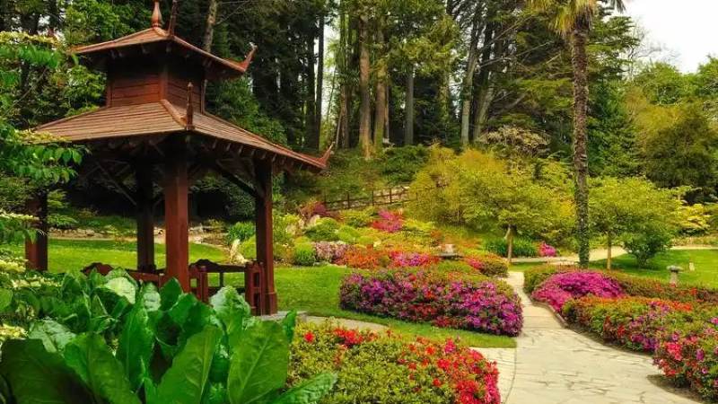 电子游艺安全注意事项:从账户防护到理性参与的实用指南